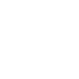 Twinz Drive
