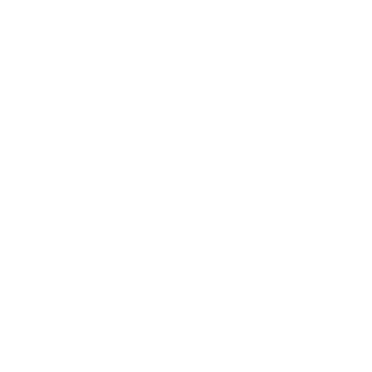 Twinz Drive